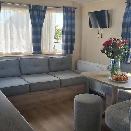 Hendra Park Ξενοδοχείο New Quay Εξωτερικό φωτογραφία